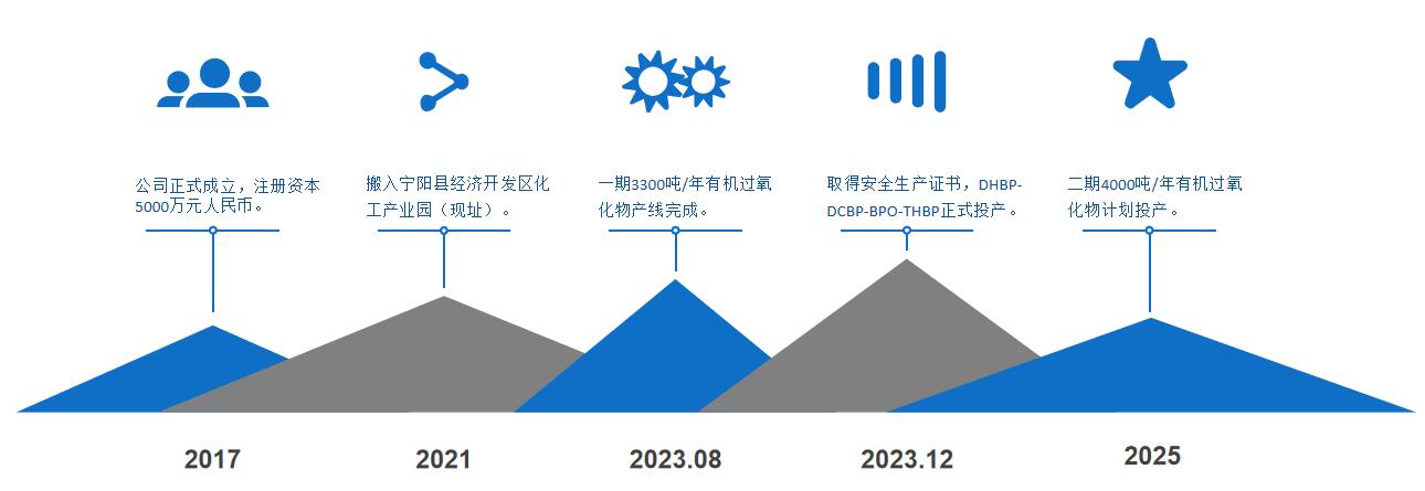 泰安盛强新材料科技有限公司